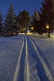 Snowmobile Tracks At Dawn_32749-55